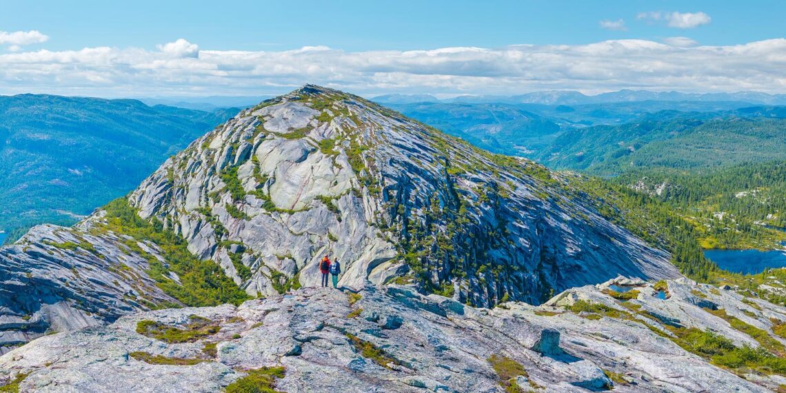 På Austre Roholtfjellet nær Vrådal, Kviteseid, Telemark.<br>Bildenr 20240811-308-309.